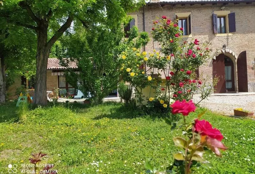 ベッドアンドブレックファースト La Rosa Selvatica