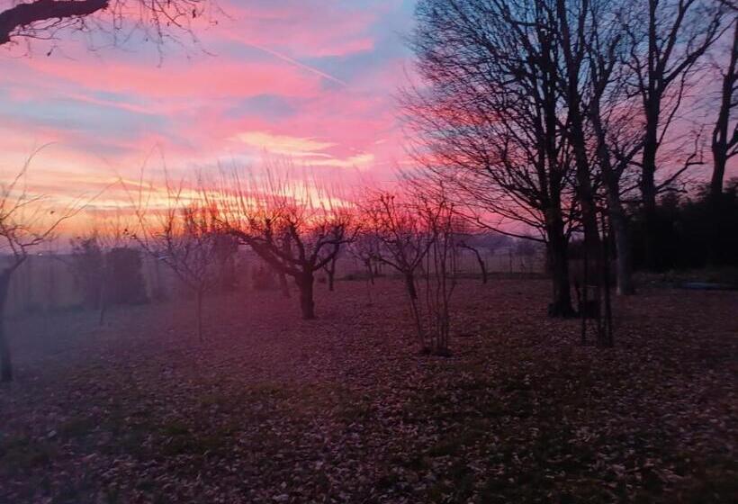 Bed and Breakfast La Rosa Selvatica