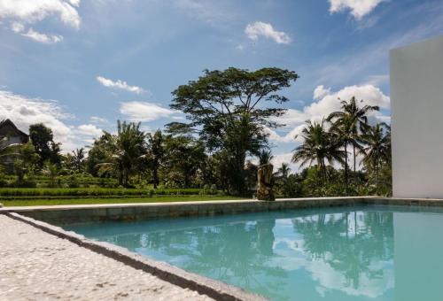 ホテル Deluxe White Cube