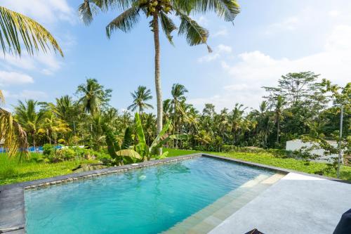 ホテル Deluxe White Cube