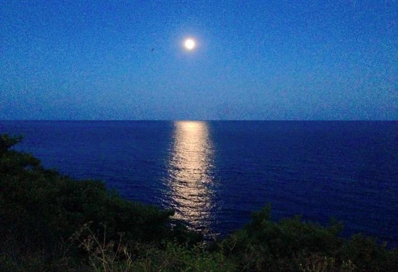 ベッドアンドブレックファースト Ventnor Bay House