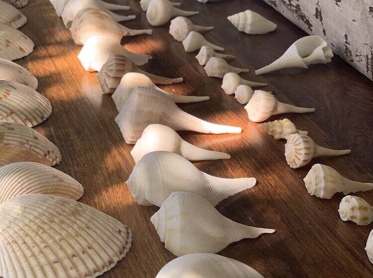 Boutique Hotel El Nido Holbox