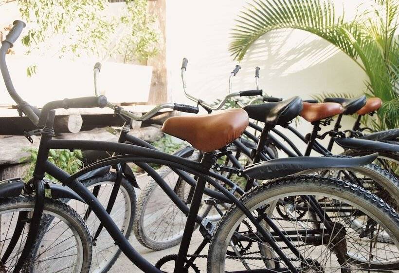 Boutique Hotel El Nido Holbox