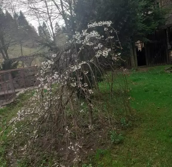 ホテル Pensiunea Perla Maramuresului