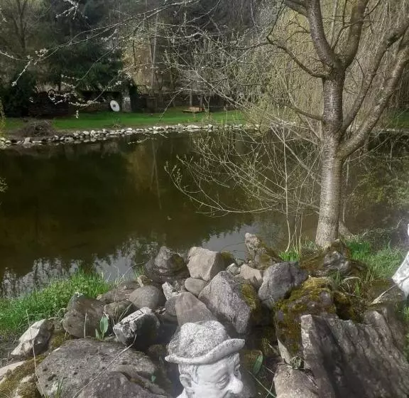 ホテル Pensiunea Perla Maramuresului