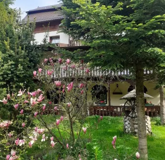 ホテル Pensiunea Perla Maramuresului