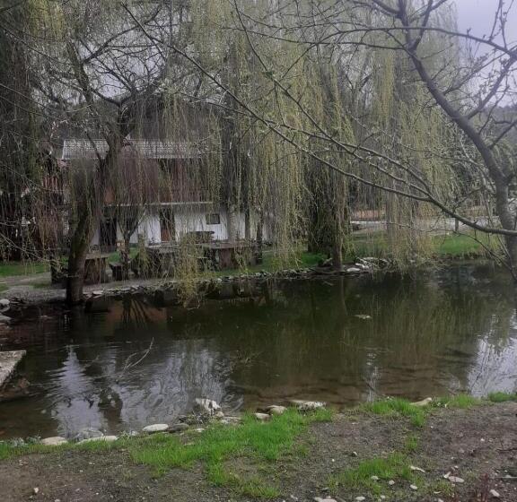 酒店 Pensiunea Perla Maramuresului