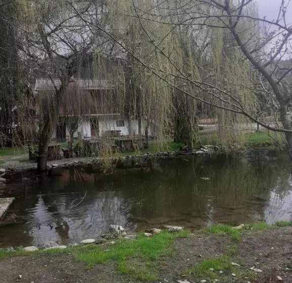 ホテル Pensiunea Perla Maramuresului