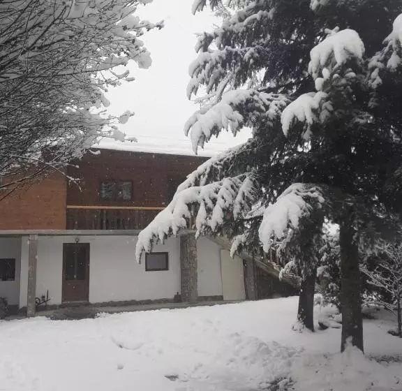 ホテル Pensiunea Perla Maramuresului