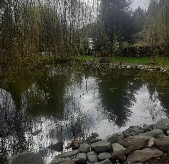 酒店 Pensiunea Perla Maramuresului