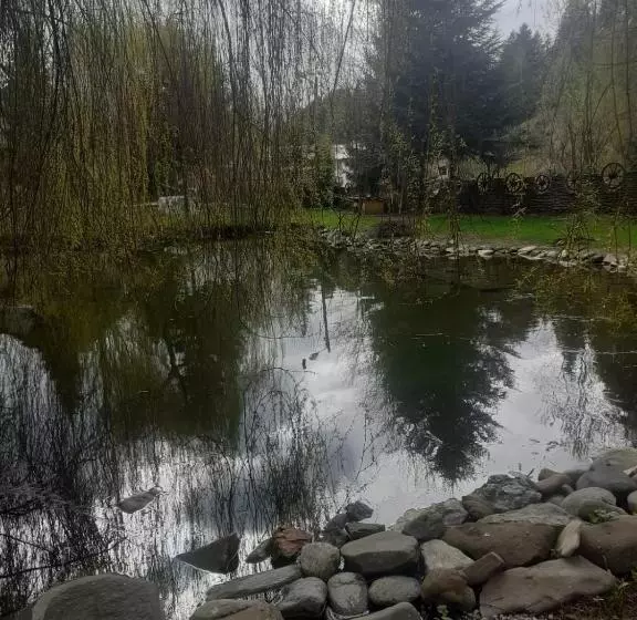 ホテル Pensiunea Perla Maramuresului