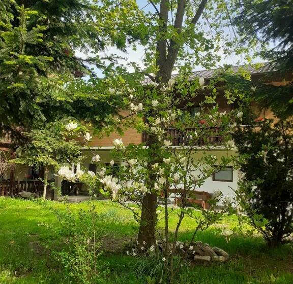 酒店 Pensiunea Perla Maramuresului