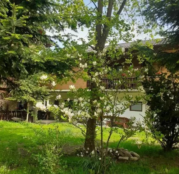 ホテル Pensiunea Perla Maramuresului