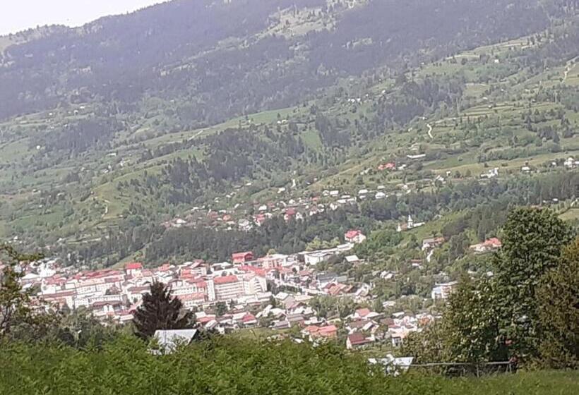 酒店 Pensiunea Perla Maramuresului