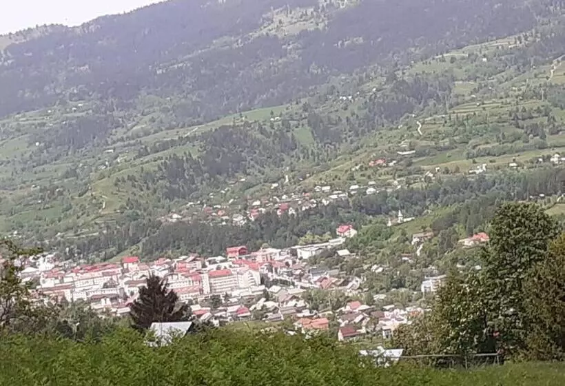 ホテル Pensiunea Perla Maramuresului