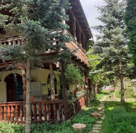 酒店 Pensiunea Perla Maramuresului