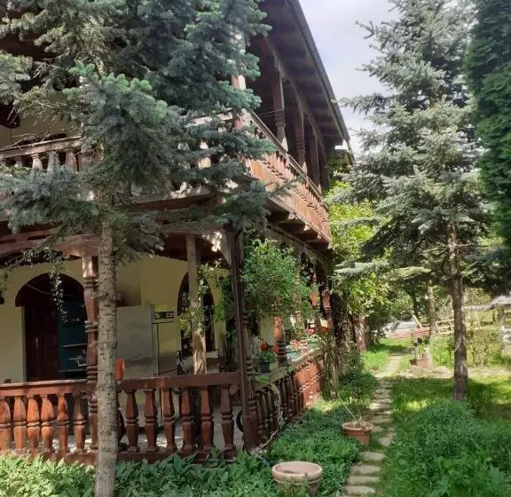 ホテル Pensiunea Perla Maramuresului