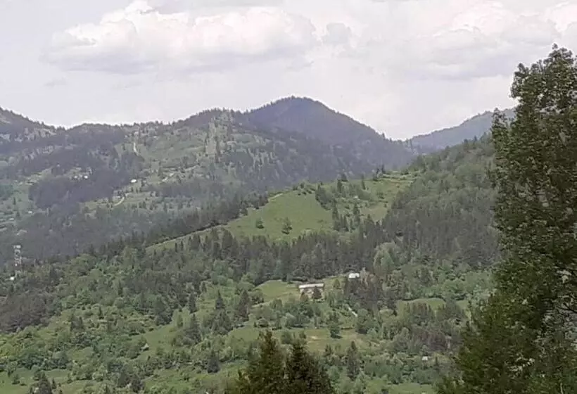 ホテル Pensiunea Perla Maramuresului