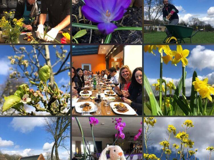 ホテル Villa Blauwhemel Diever