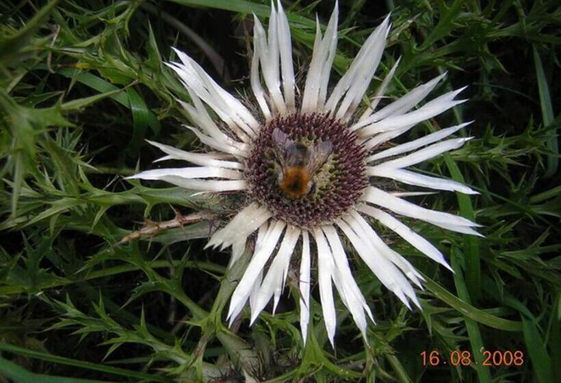 Rhöner Landhotel Haus Zur Wasserkuppe