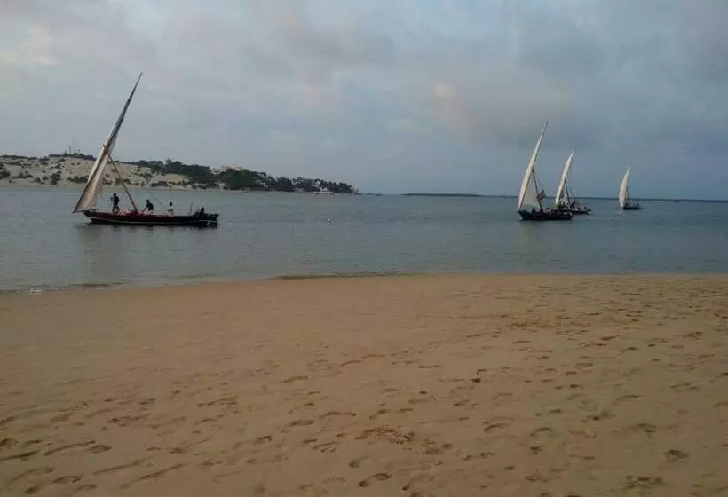 هاستل Sea Shells Inn