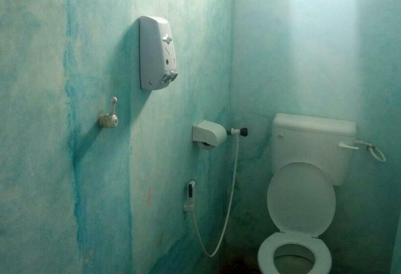 هاستل Sea Shells Inn