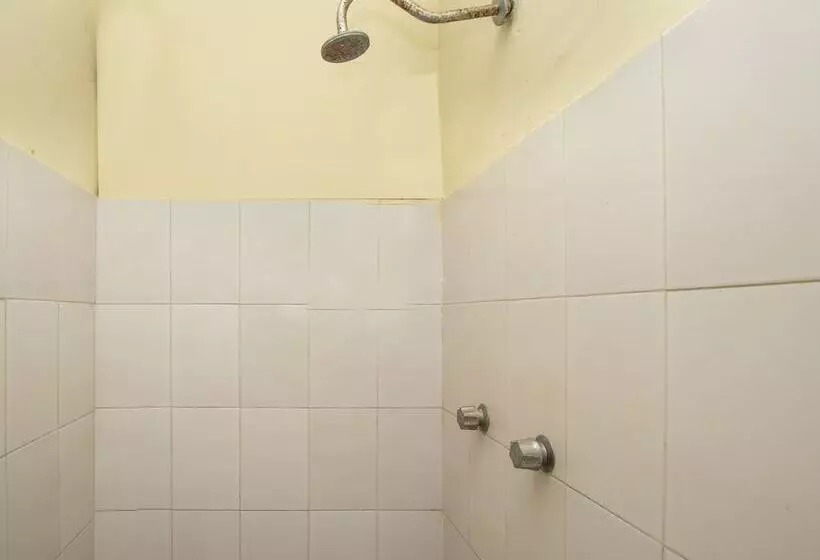 ホテル San Carlos