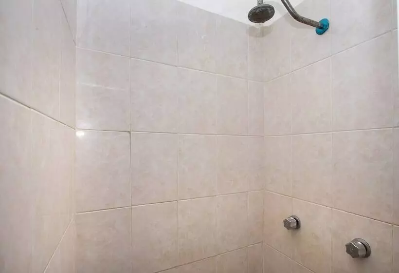 ホテル San Carlos