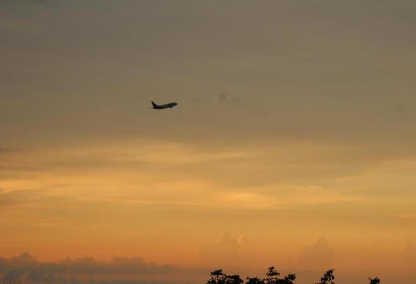 בית מלון כפרי Theodor Bajo