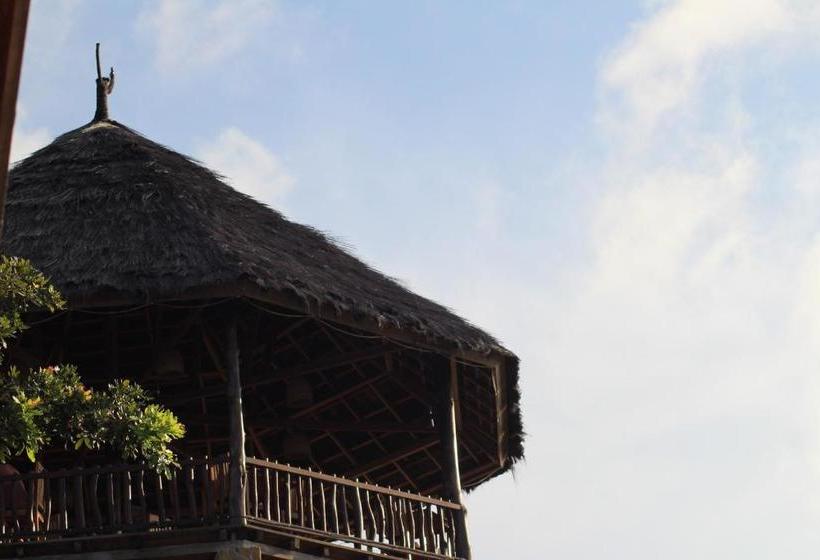 בית מלון כפרי Theodor Bajo