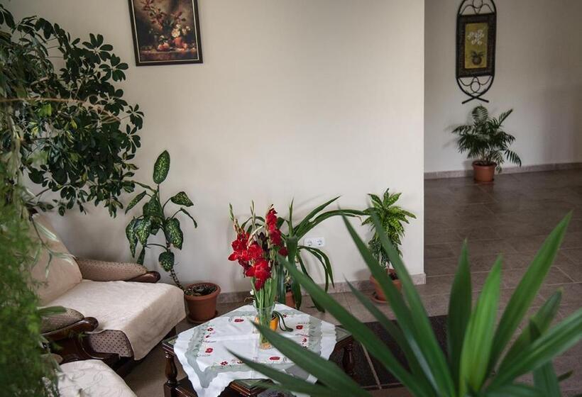 Pensiunea Casa Cu Flori