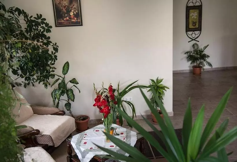 Pensiunea Casa Cu Flori