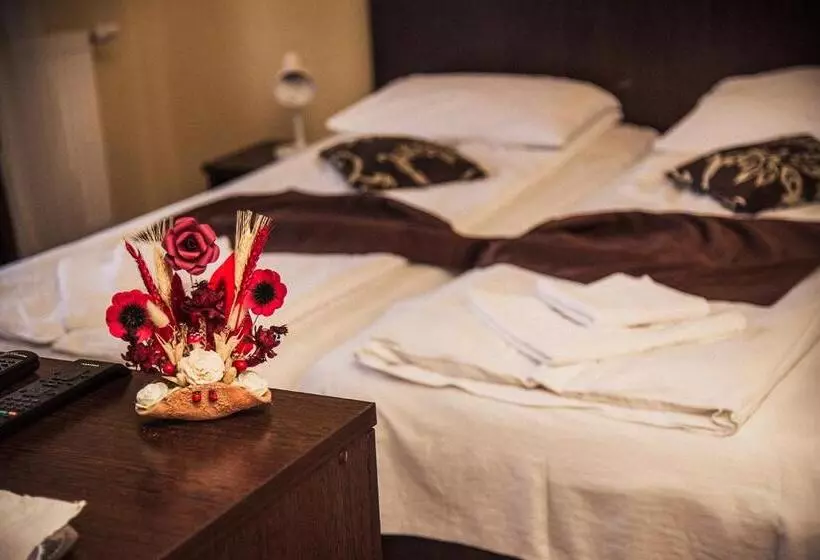 Pensiunea Casa Cu Flori