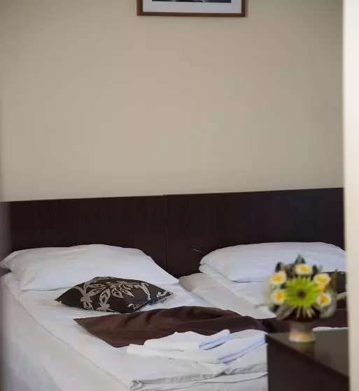 Pensiunea Casa Cu Flori