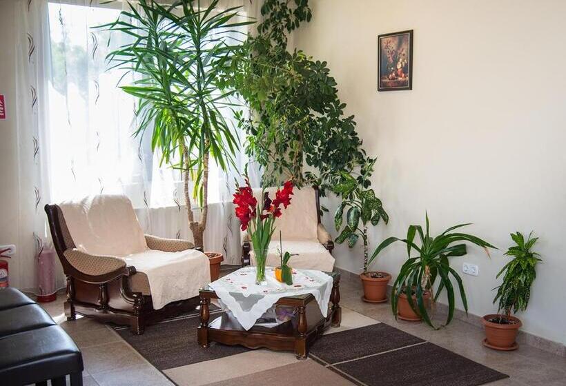 Pensiunea Casa Cu Flori