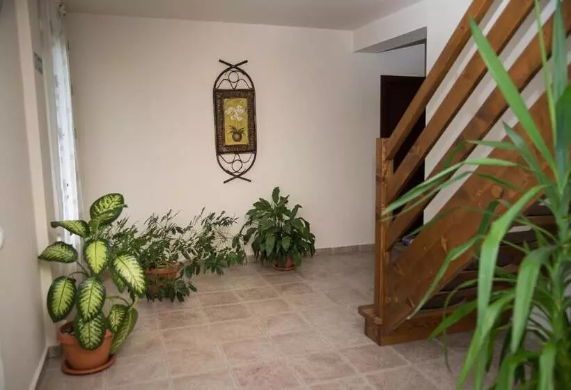 Pensiunea Casa Cu Flori