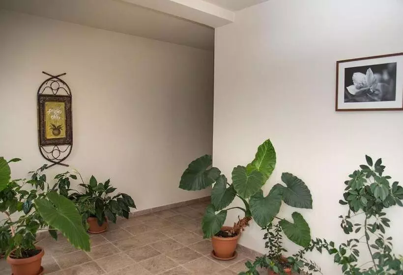 Pensiunea Casa Cu Flori