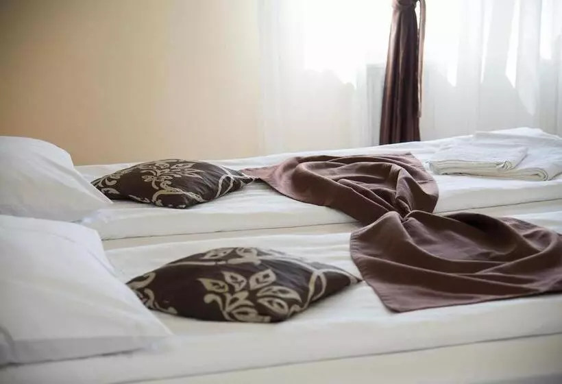 Pensiunea Casa Cu Flori