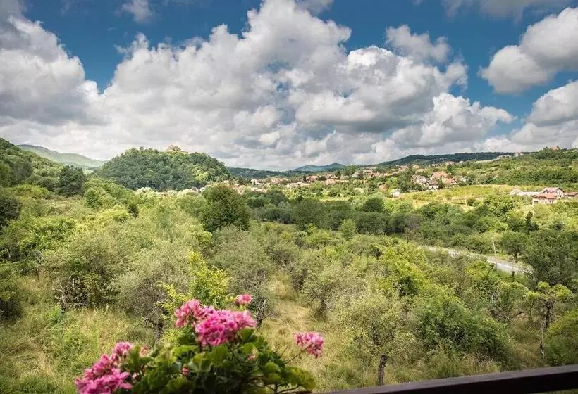 Pensiunea Casa Cu Flori