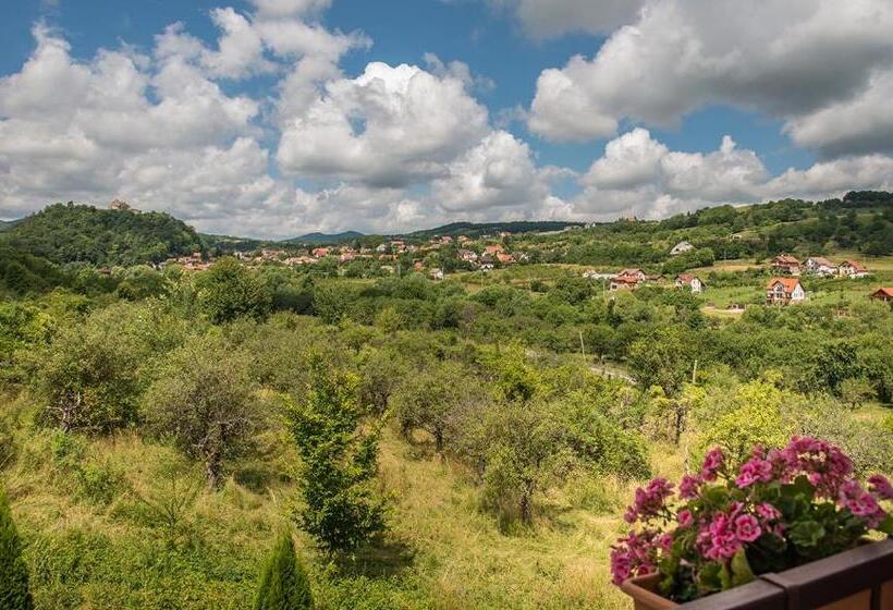 Pensiunea Casa Cu Flori