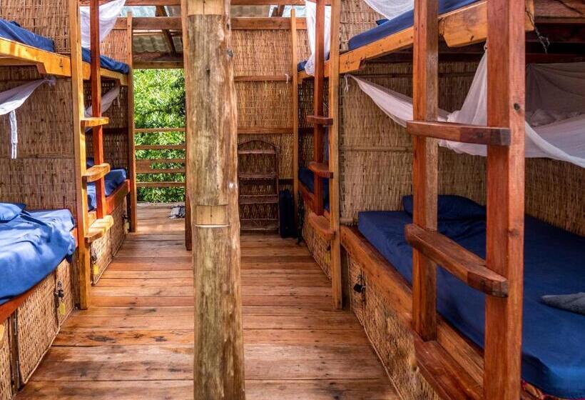 Kactus Eco Resort & Wellness On Kohtakiev Island