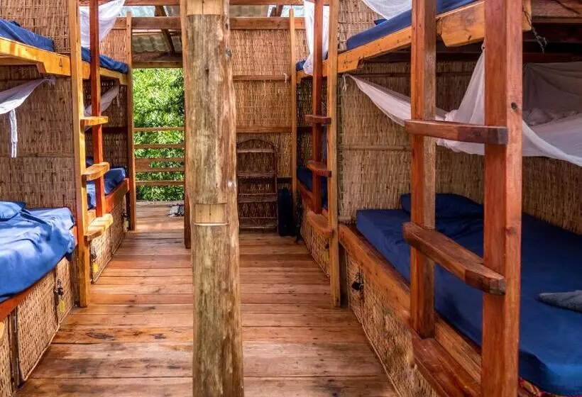 Kactus Eco Resort & Wellness On Kohtakiev Island