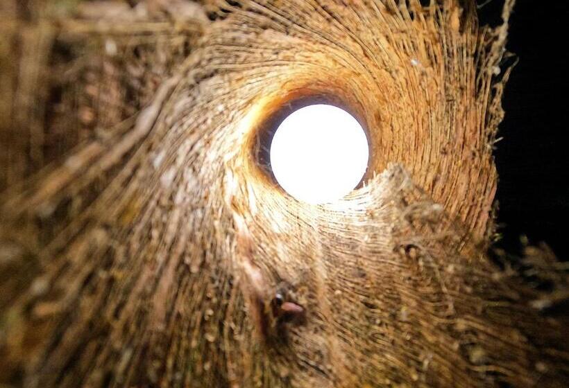 Kactus Eco Resort & Wellness On Kohtakiev Island