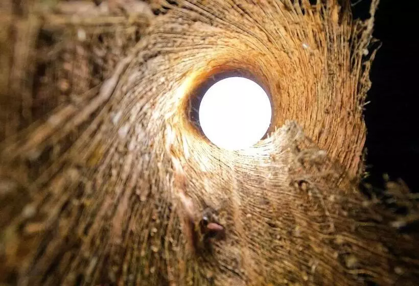 Kactus Eco Resort & Wellness On Kohtakiev Island