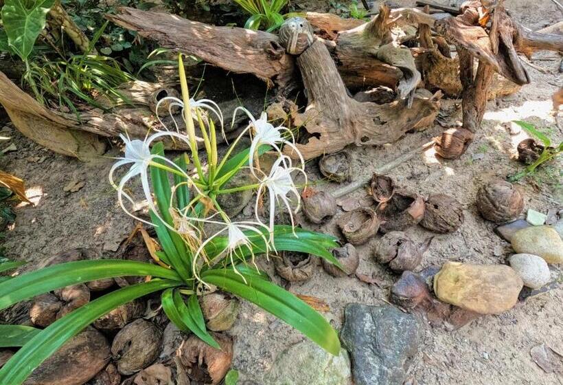 Kactus Eco Resort & Wellness On Kohtakiev Island