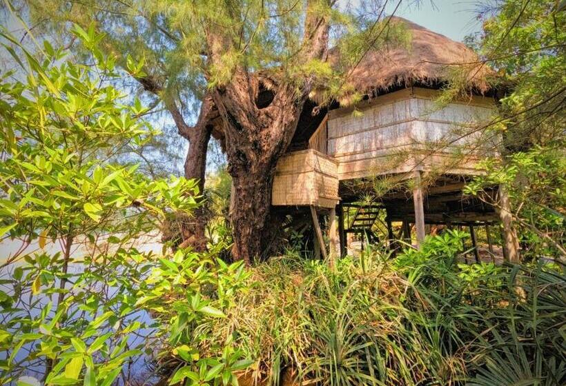 Kactus Eco Resort & Wellness On Kohtakiev Island