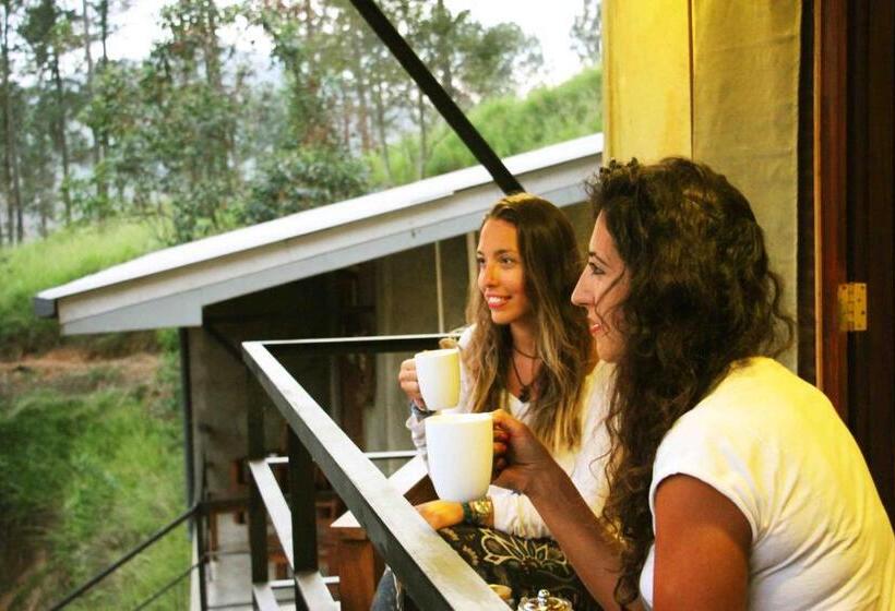 Pensione Rowinrich Cottages