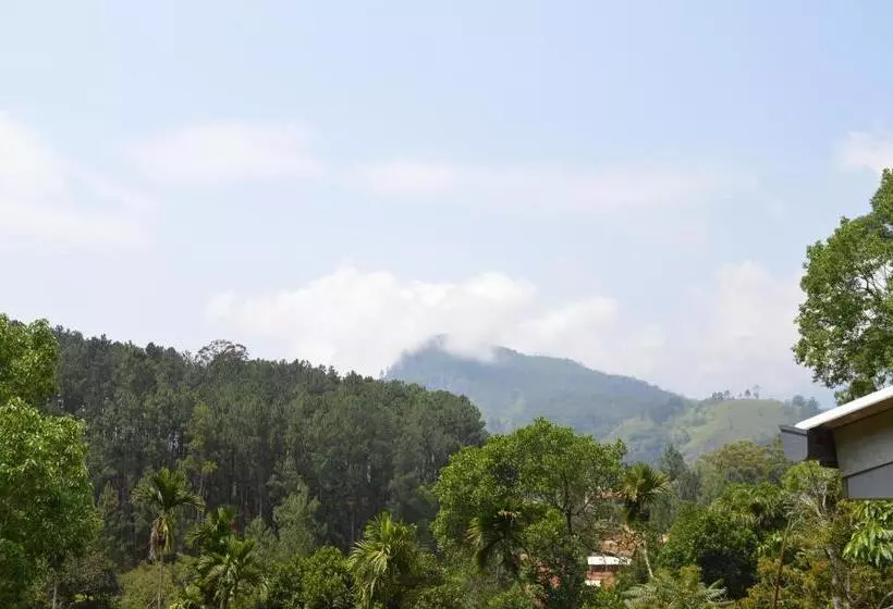Majatalo Rowinrich Cottages