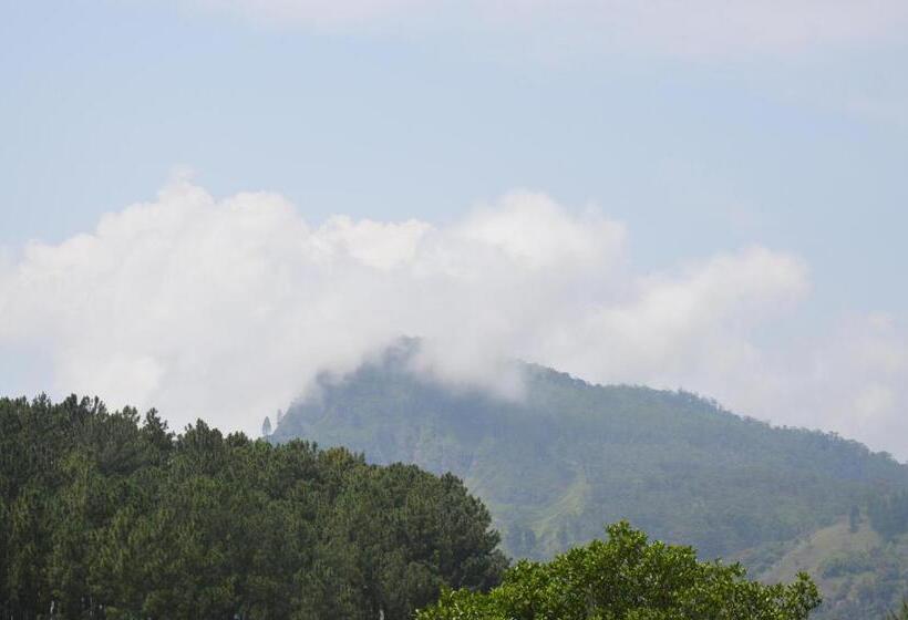 Pensione Rowinrich Cottages