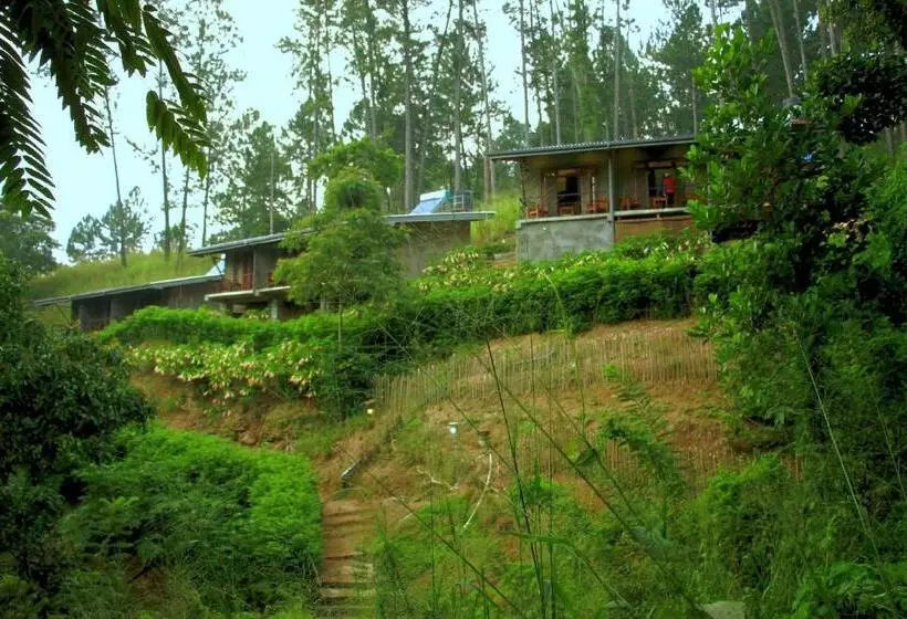 Majatalo Rowinrich Cottages